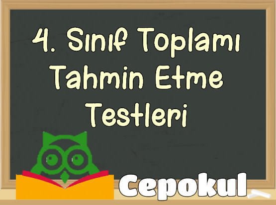 S N F Toplam Tahmin Etme Testleri Matematik Test Z