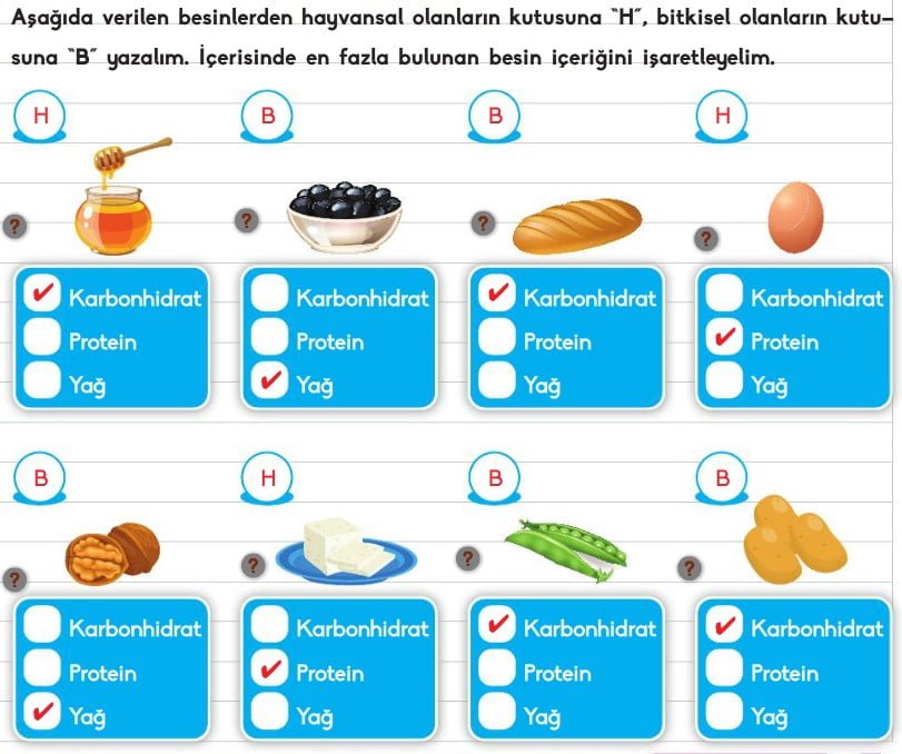 S N F Besinler Ve Zellikleri Konu Anlat M Zeti Al Ma Ka D